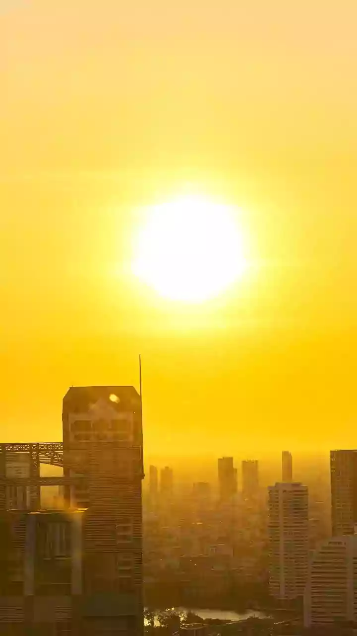 Air Quality's Impact: Skin & Hair Woes