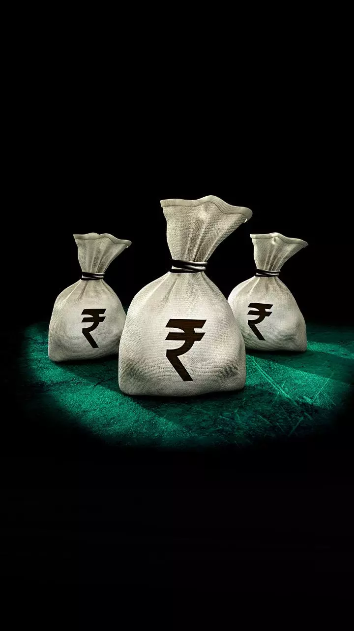 Budget may reinforce growth by backing domestic demand: EY report