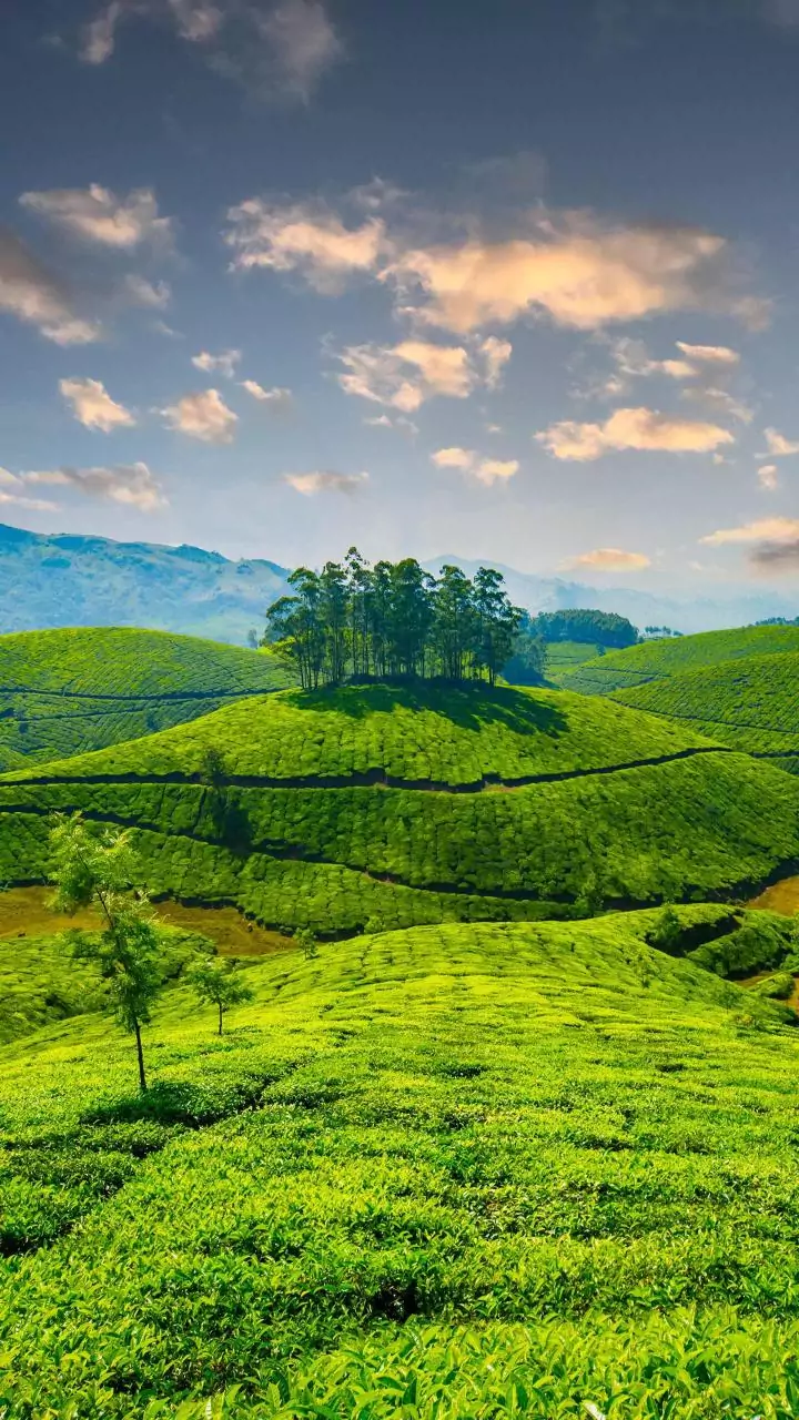 Decision on PM SHRI to be announced in cabinet meeting: Kerala Minister Sivankutty