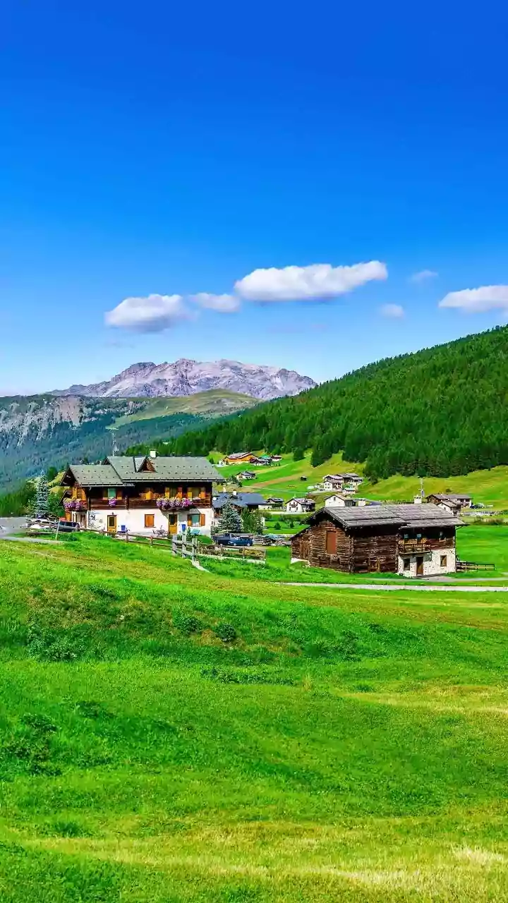 Why You Will Love The Alpine Flower Meadows When Hiking In Austria