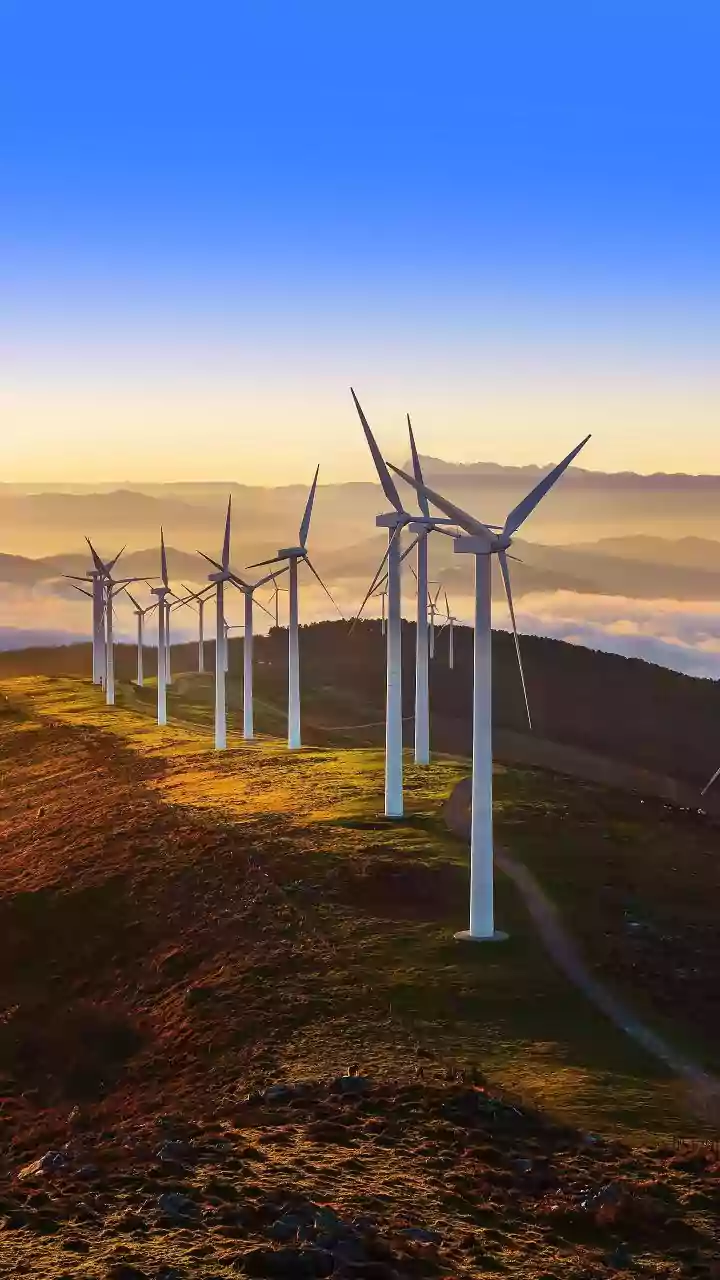 Sovereign Green Bonds Guide: Secure Fixed Returns While Funding Renewable Energy Infrastructure