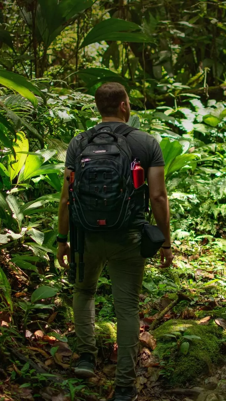 Liberia is a hidden gem for rainforest hiking!