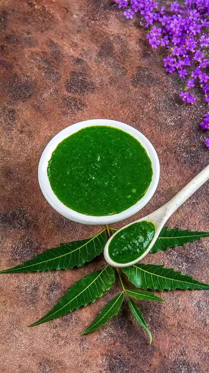 Keep Houseplants Pest Free This Monsoon With Powdered Neem Cake