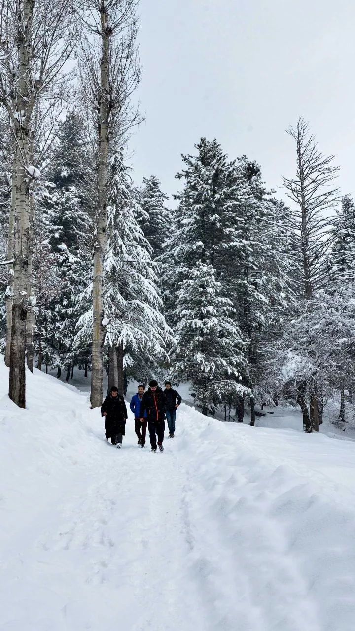 Light snowfall likely in higher reaches of Himachal over weekend