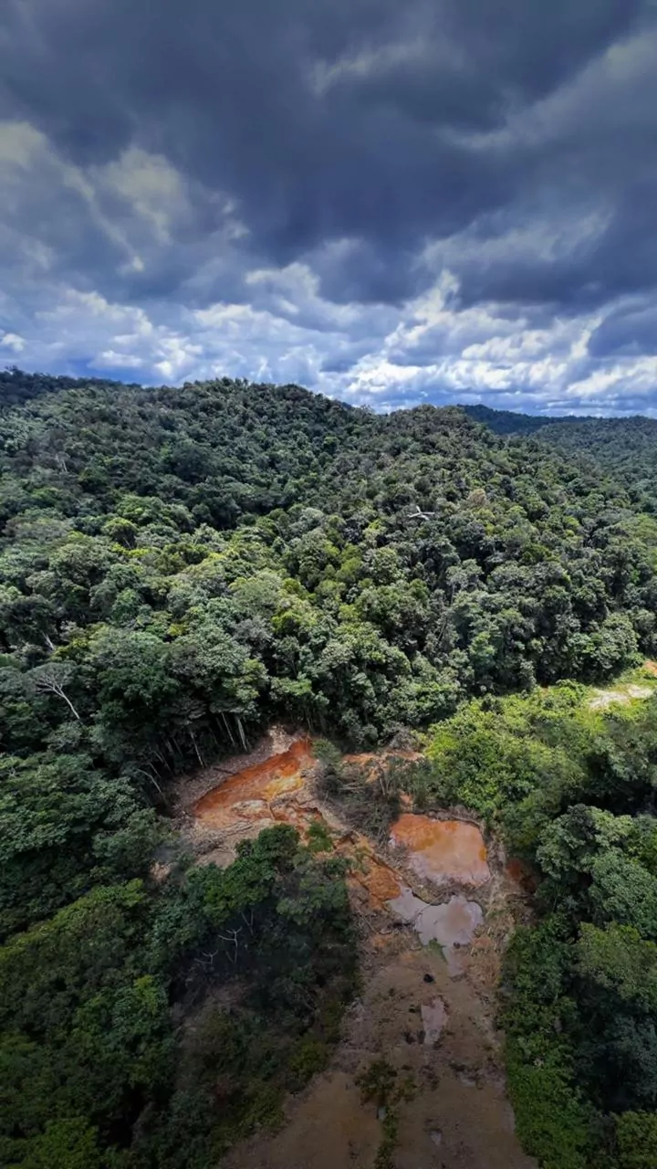 How Scientists Evaluate Human Encroachment Pressures On Kerala's Reserved Forest Lands