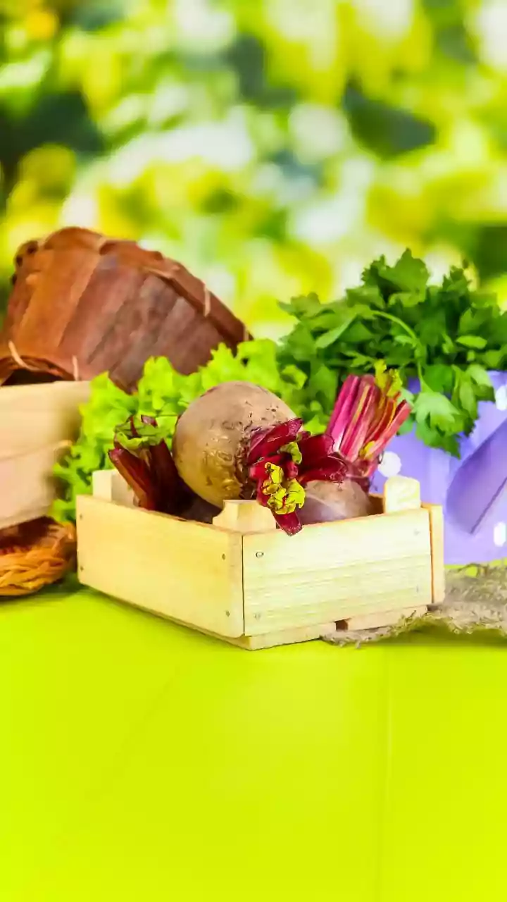The Edible Balcony Trend Raises New Questions About Greens, Gourds, Chillies and Herbs