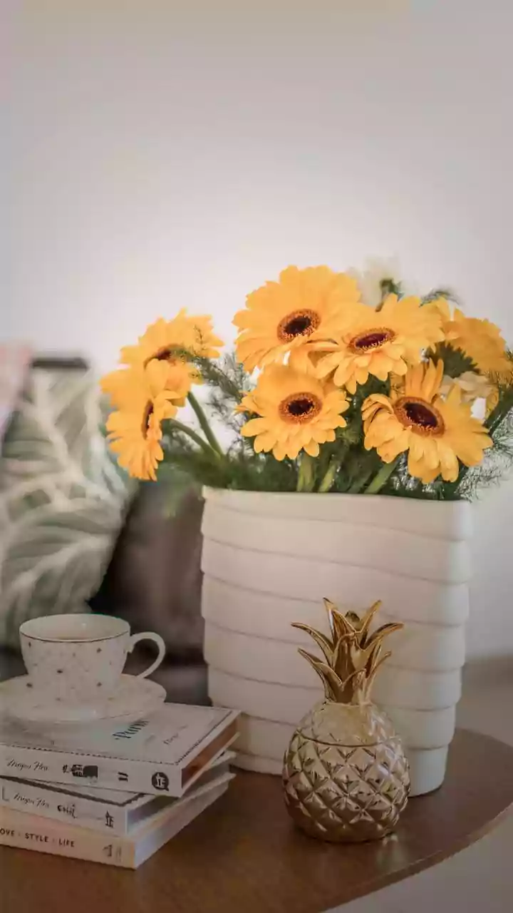 Ornamental Pineapples Make Plant Corners More Playful