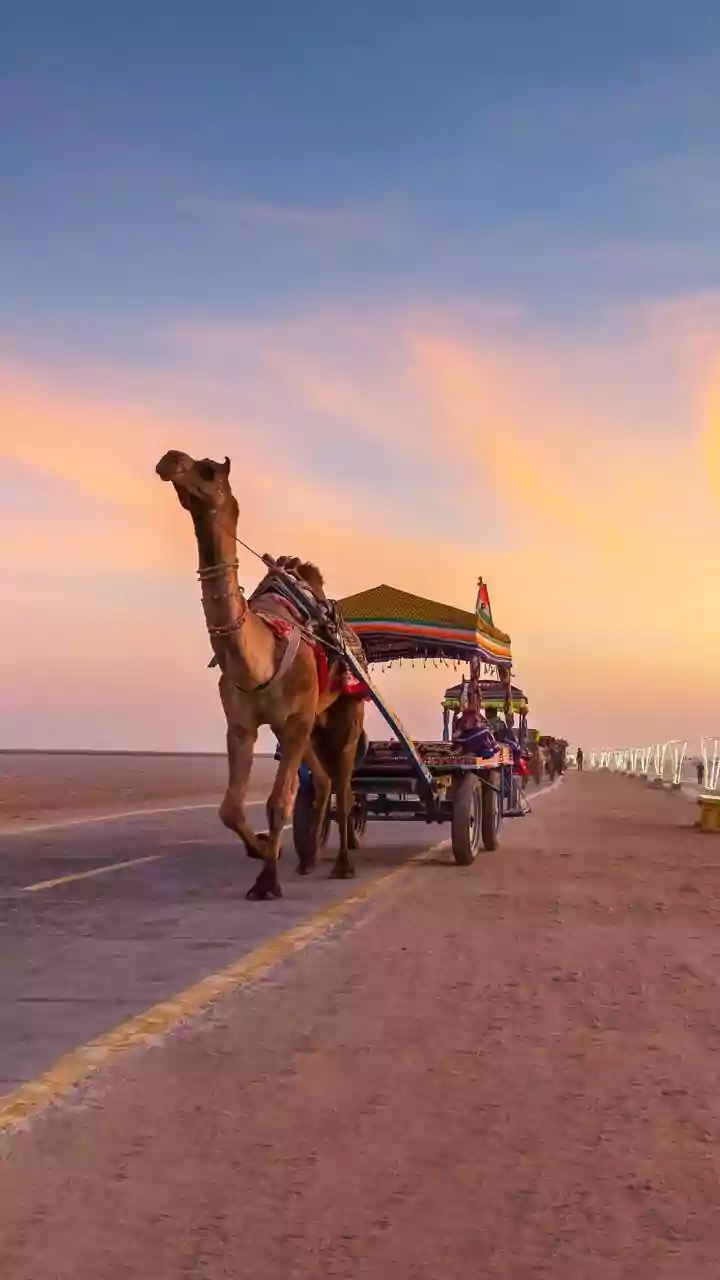 Dhurandhar Popularising Travel To This Pakistan City; Brings Balochistan Back Into Spotlight
