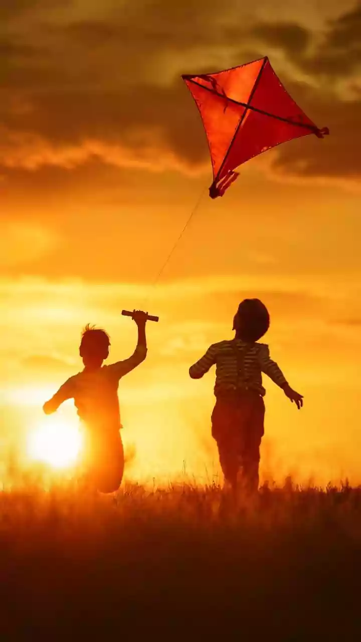 Makar Sankranti 2026: Date, Muhurat, Rituals, Significance And Wishes