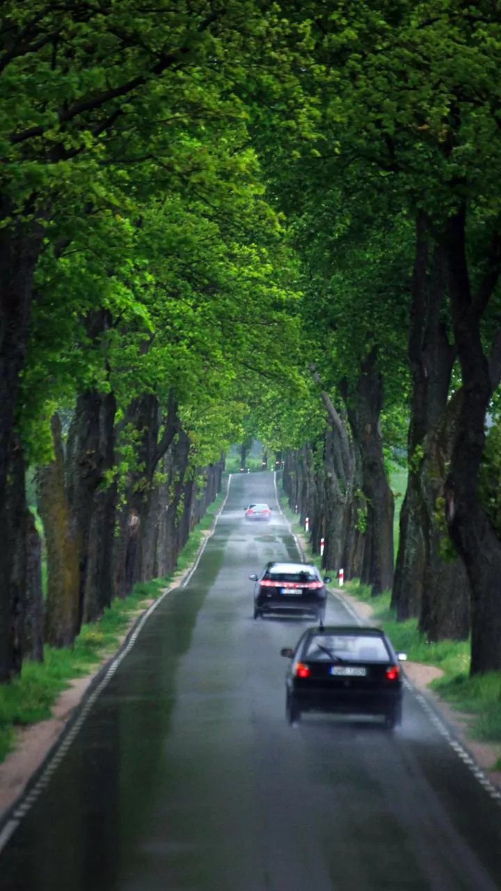 Can Your Car Handle India's Rainy Roads?
