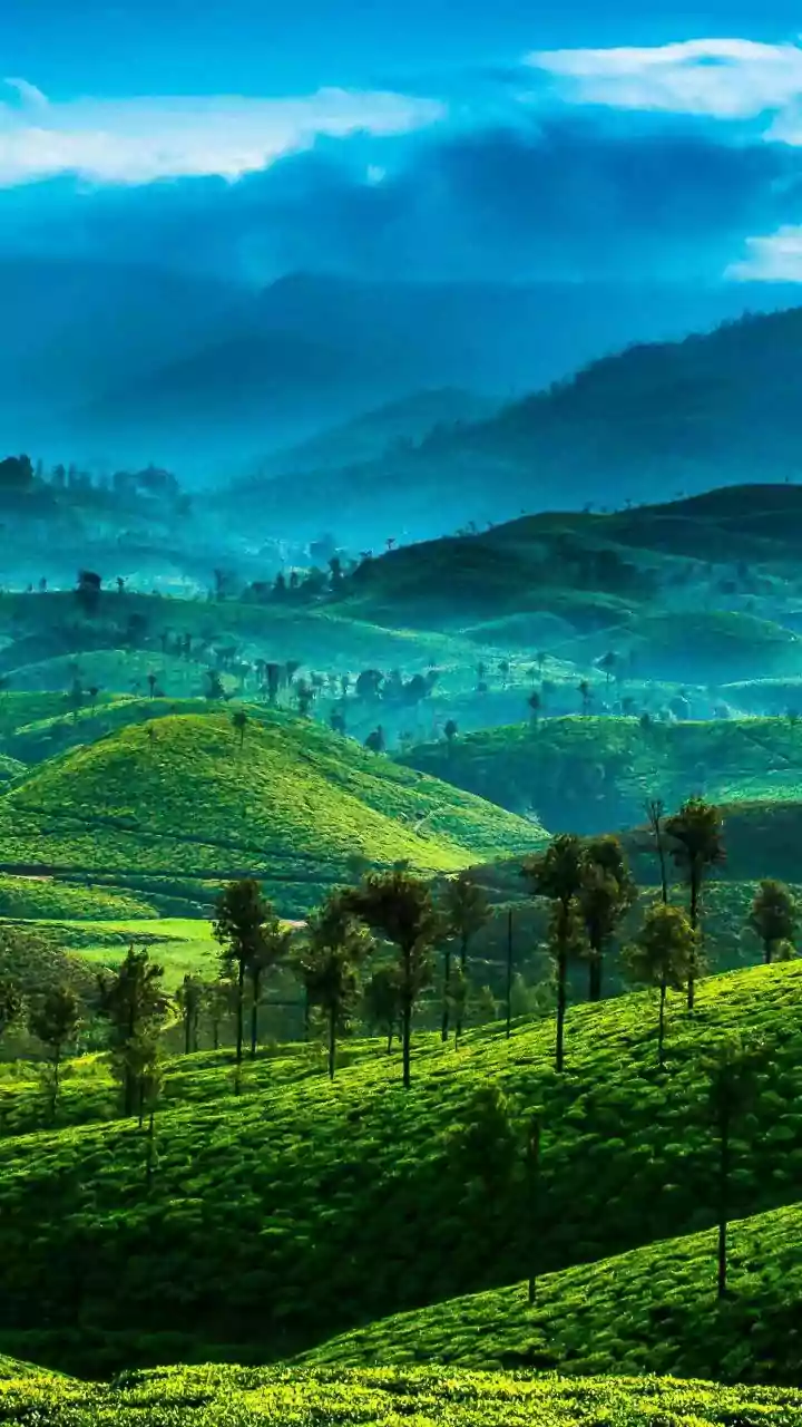 Monsoon Retreats: Why Araku Valley Plantation Homestays Are Packed With Urban Detoxers