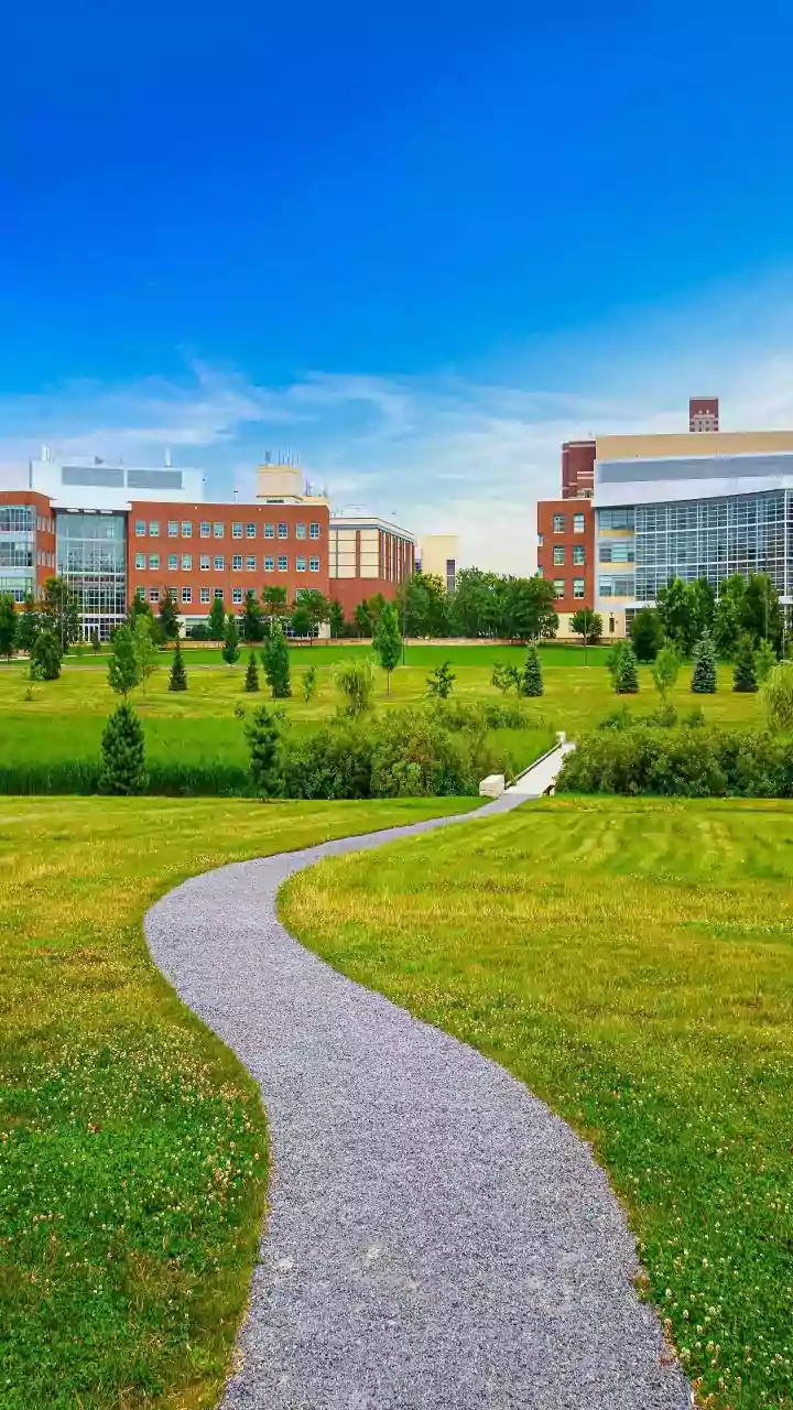 Top Engineering Colleges in India: A Detailed Guide
