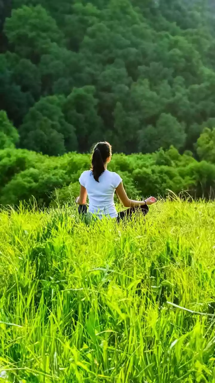 Mindful Meditation Guide How 5-Minute Daily Breathing Routines Clear Mental Fatigue
