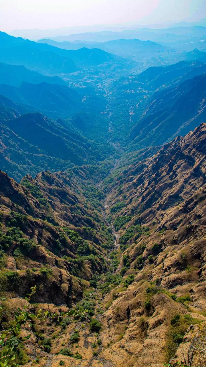 Two British nationals arrested in Bahraich for entering India via Nepal