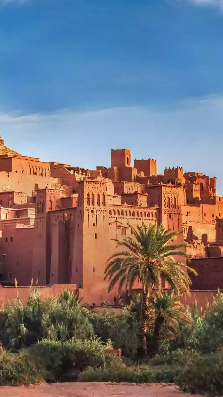 Saudi Arabia's Instant e-Visa: A Tech-Forward Travel Solution