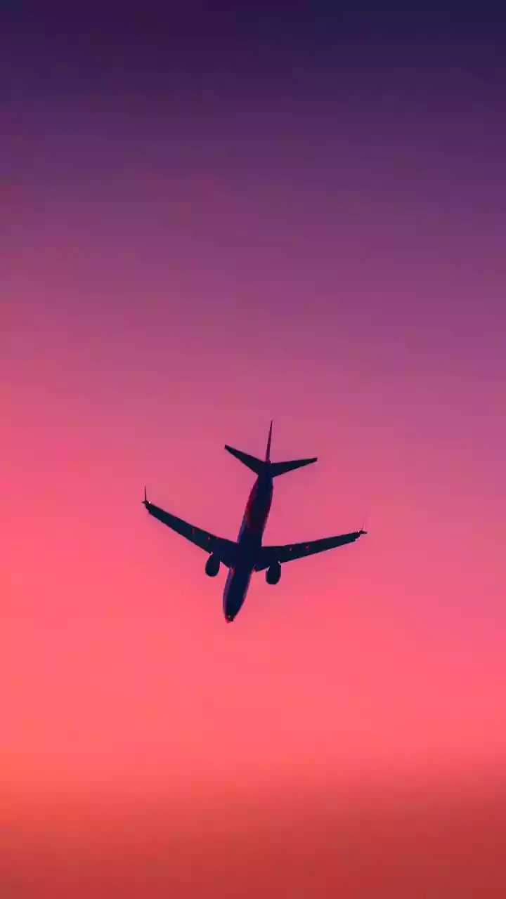 IndiGo's flight chaos: What went wrong?