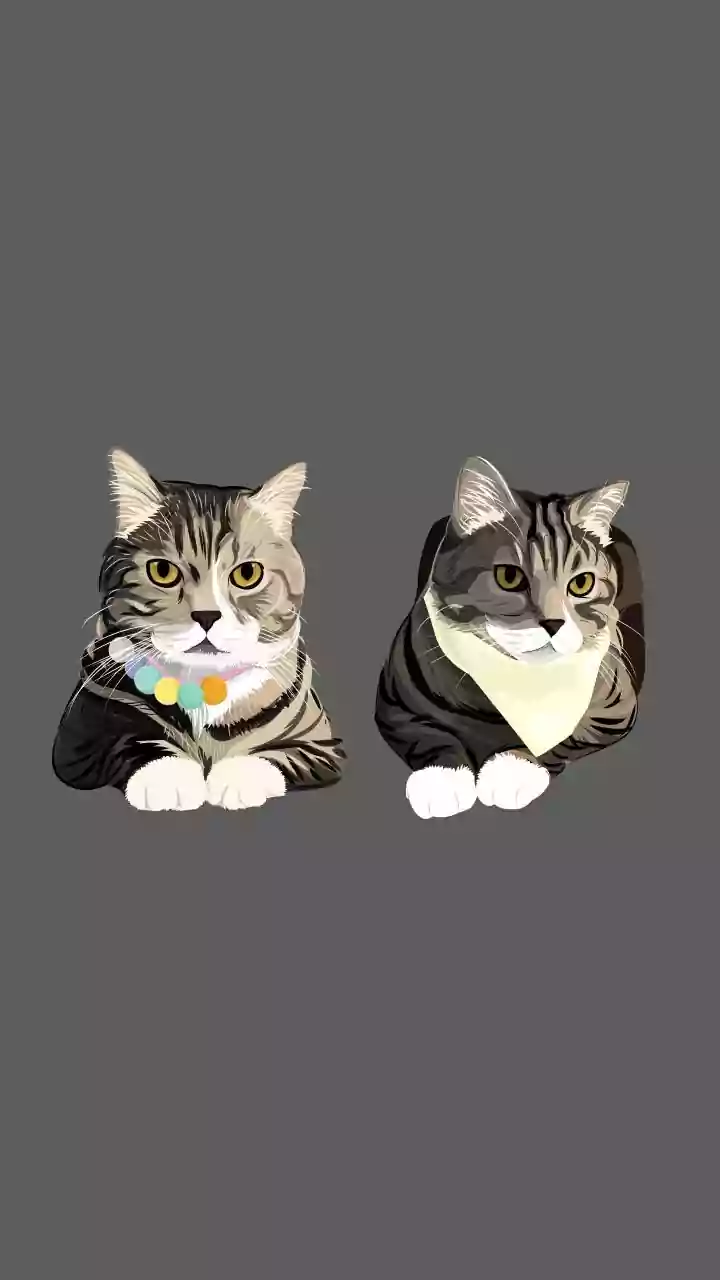 Pet Registration Beyond Dogs is expanding towards cats and broader digital records