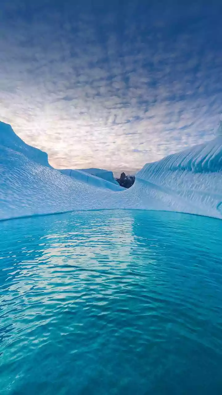 Greenland 2: Migration Review - Even Gerard Butler Can’t Lift A Migration Without Momentum