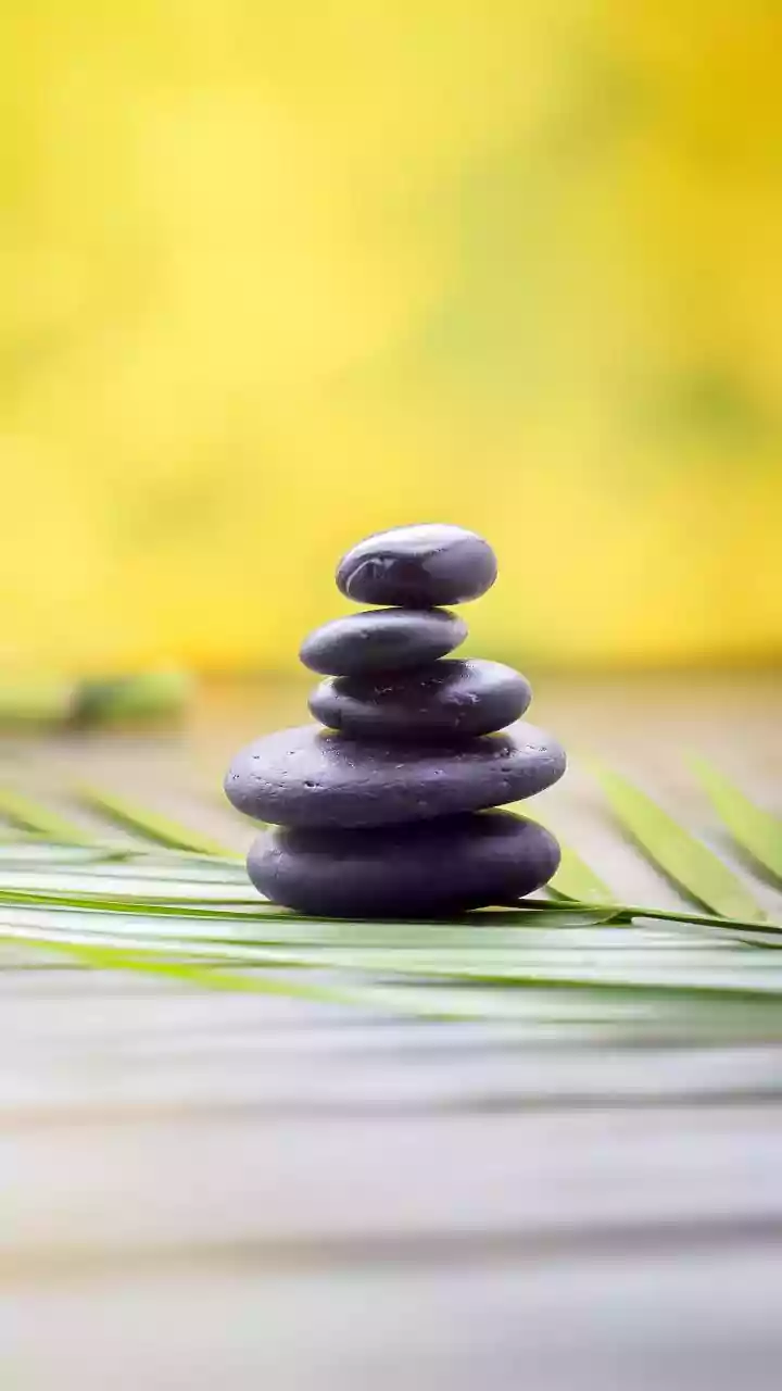 Mental Wellness: Navigating Life's Ups & Downs