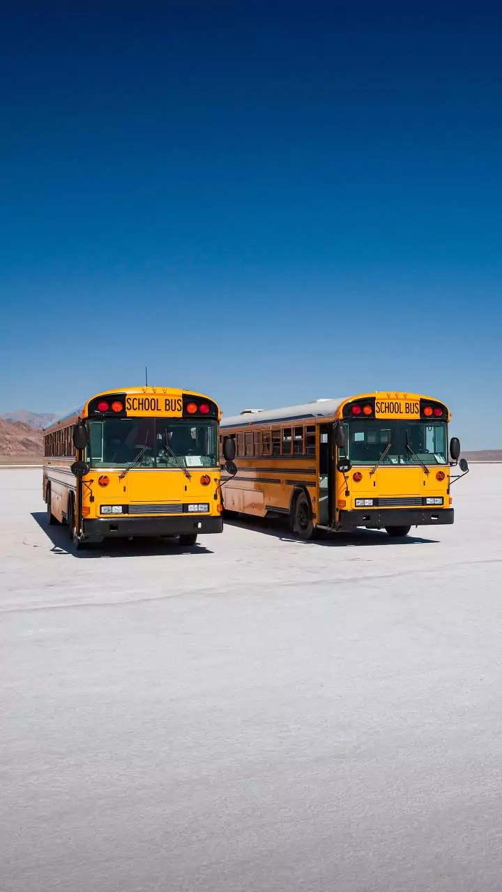 Madhya Pradesh: 28 students hurt in school bus accident