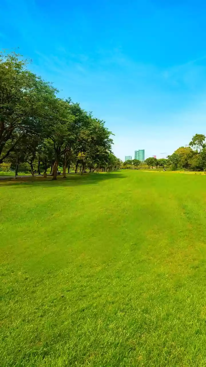 Green Space Can Change the Experience without Changing the Step Count
