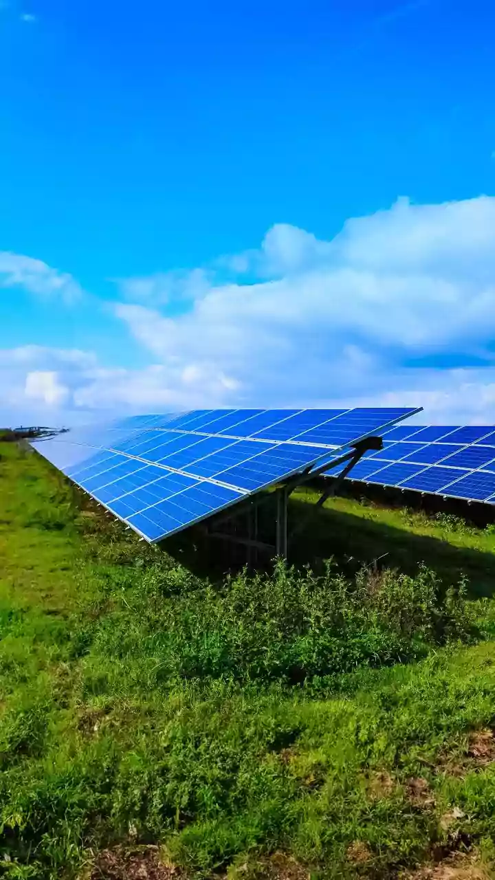 ACME says 300 MW solar project in Rajasthan facing no evacuation constraints