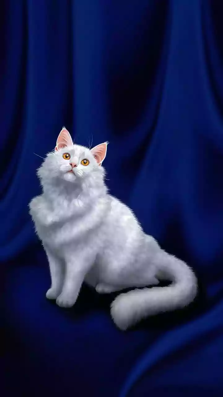 These Ultimate Pet Welfare Portals Propose Senior Animal Adoptions