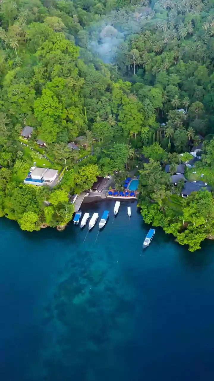 Wildlife Lodges Are Making Jungles Feel Premium