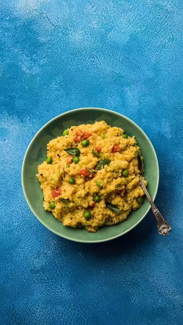 Khichdi Was Prepared for Space but Did Not Reach Axiom-4's Final Menu