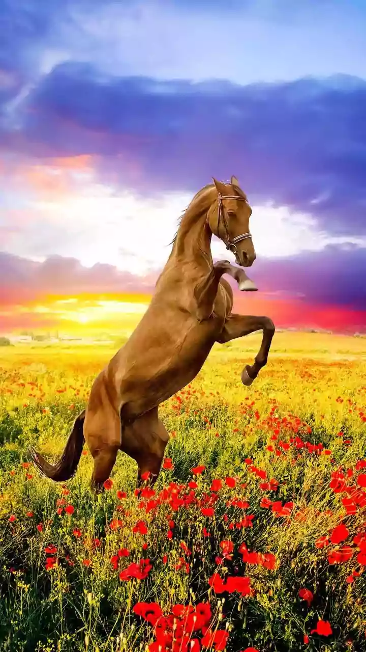 Unveil Your Hidden Superpower: Pick a Horse and Discover Your Unique Strength