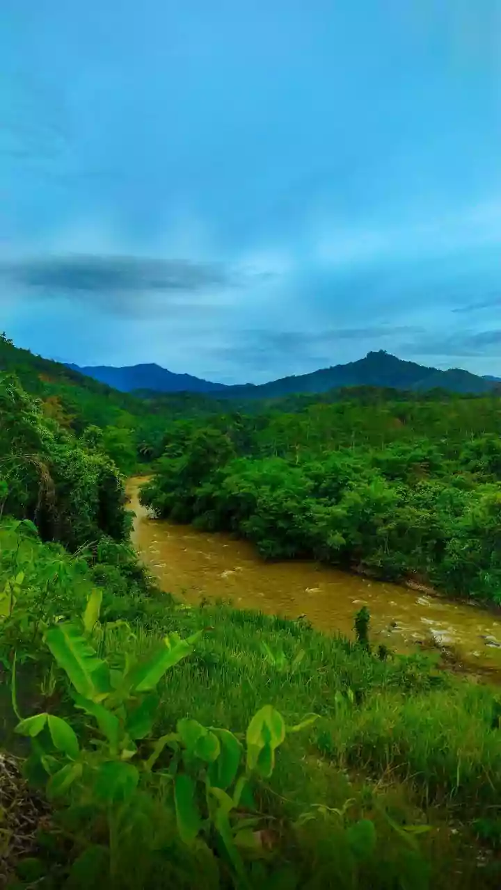 Why Urban Burnout Is Driving High Monsoon Homestay Bookings In Scenic Araku Valley