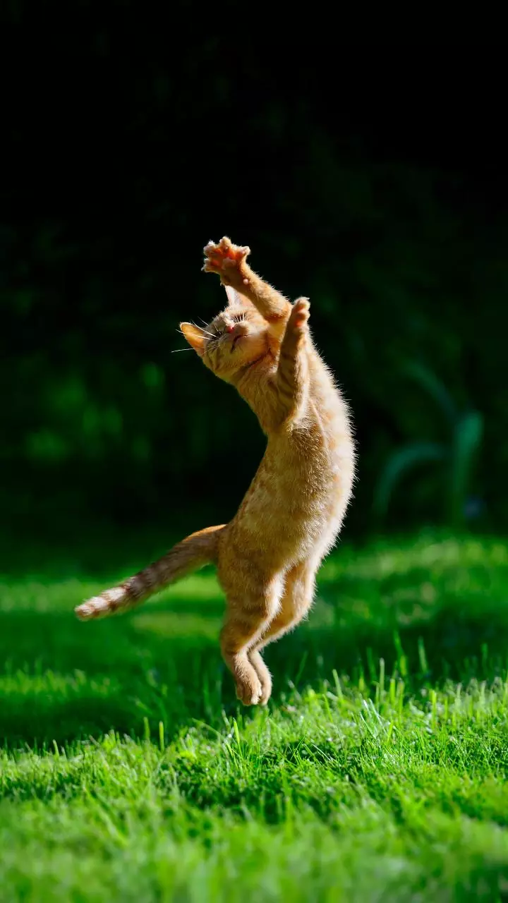 How cold weather subtly improves posture and height feel