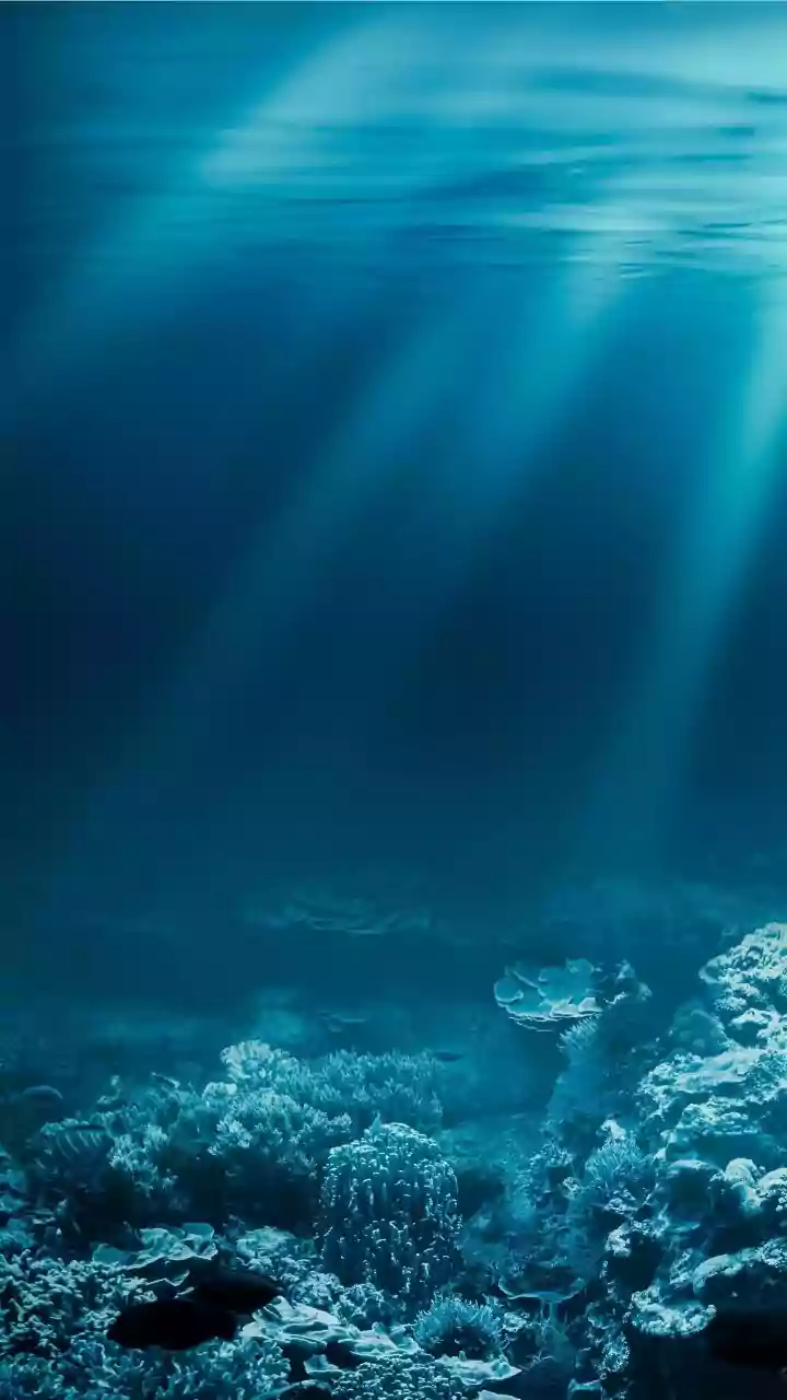 How Lakshadweep Enforces Waste Management Protocols For Boats To Preserve Fragile Marine Reefs
