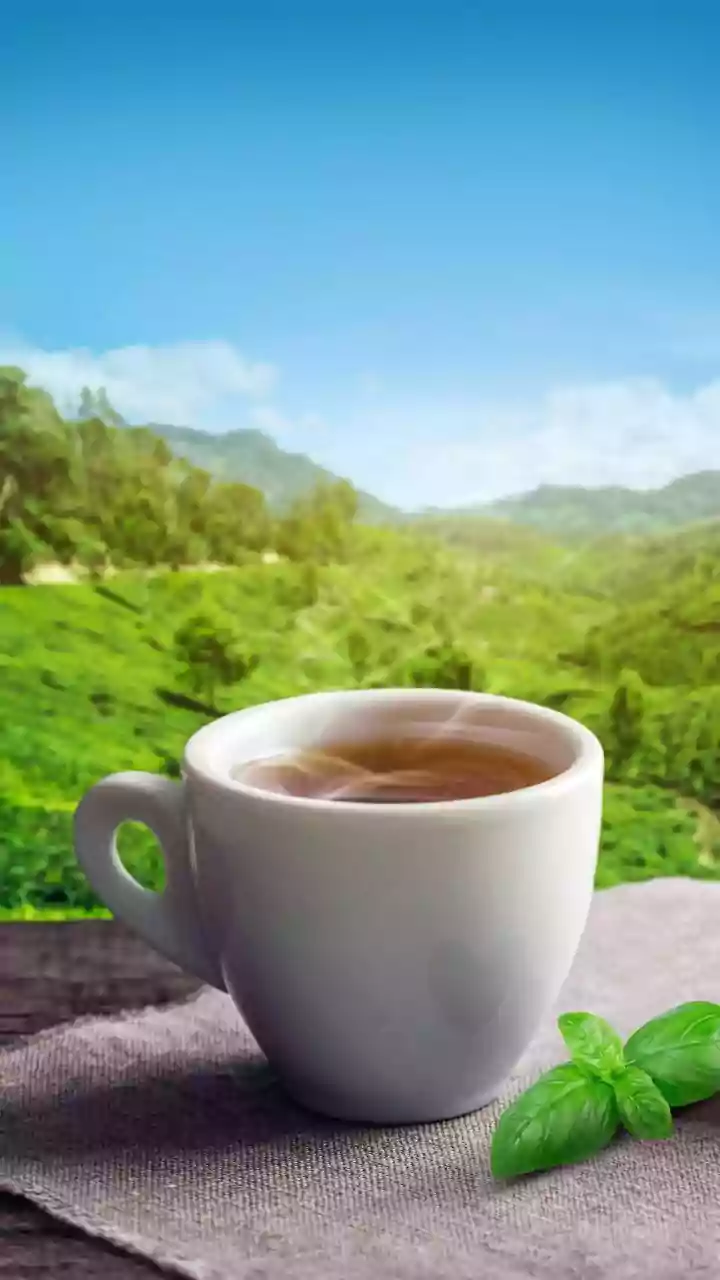 Misty Mountain Cafes Make Darjeeling Irresistible Again