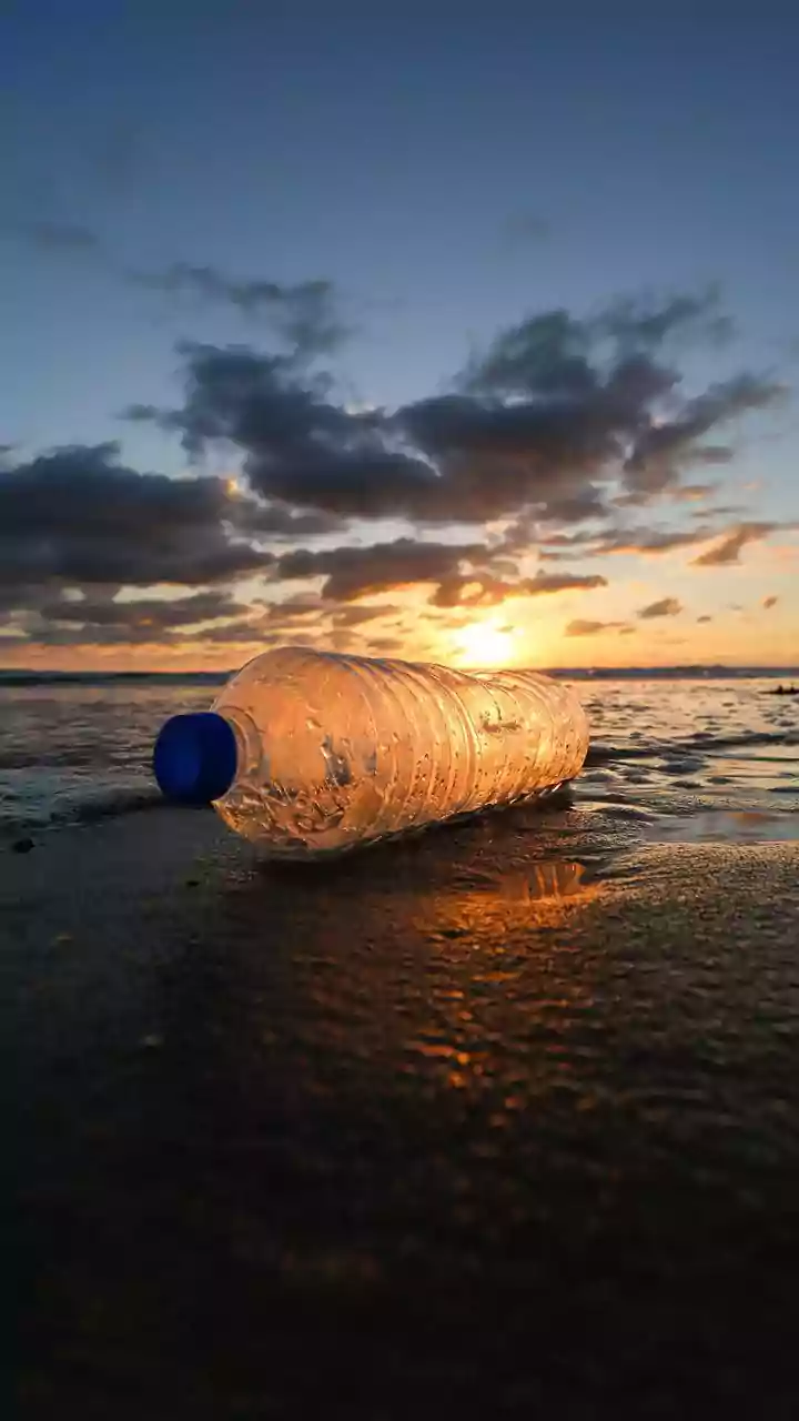 Green Marshals Could Help Destinations Enforce Plastic Rules Consistently