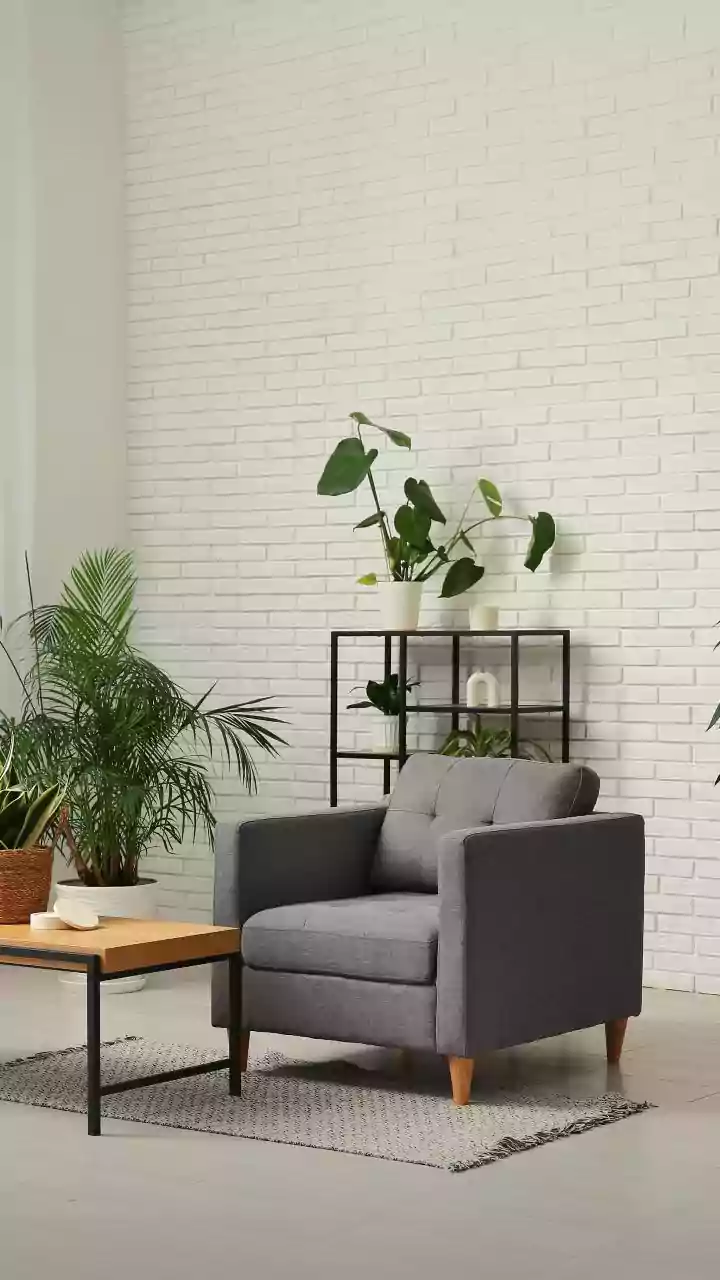 Houseplants Make Rooms Look Greener Without Acting Like Air Purifiers