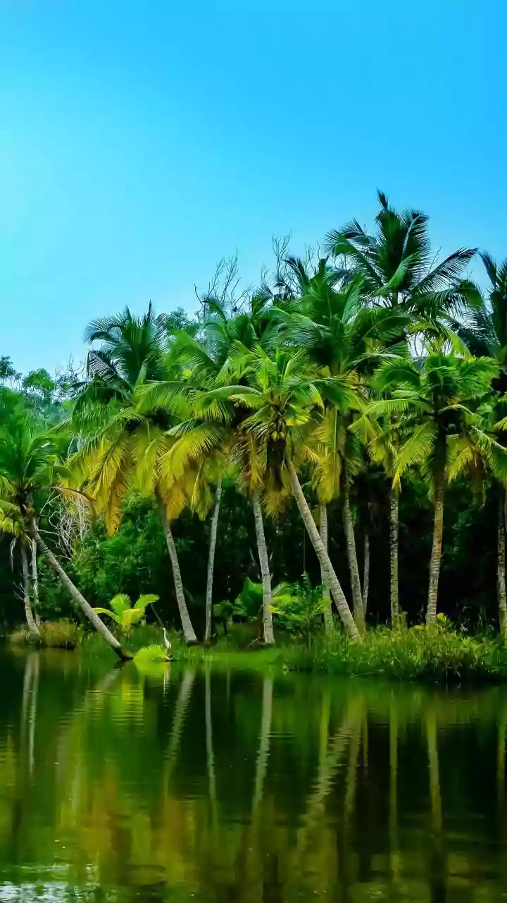 Green Marshals Could Change How Visitors Experience Kerala's Tourist Sites