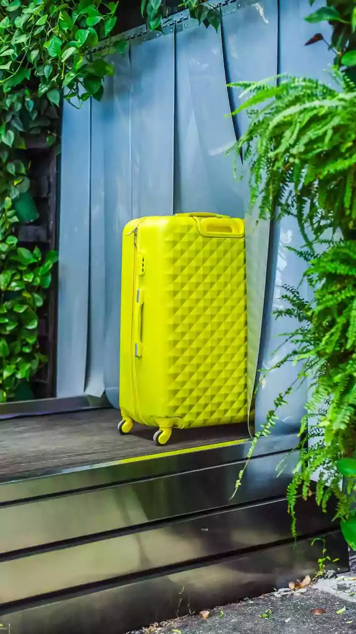 Eco-friendly luggage brand Uppercase sees 34% revenue growth in FY25