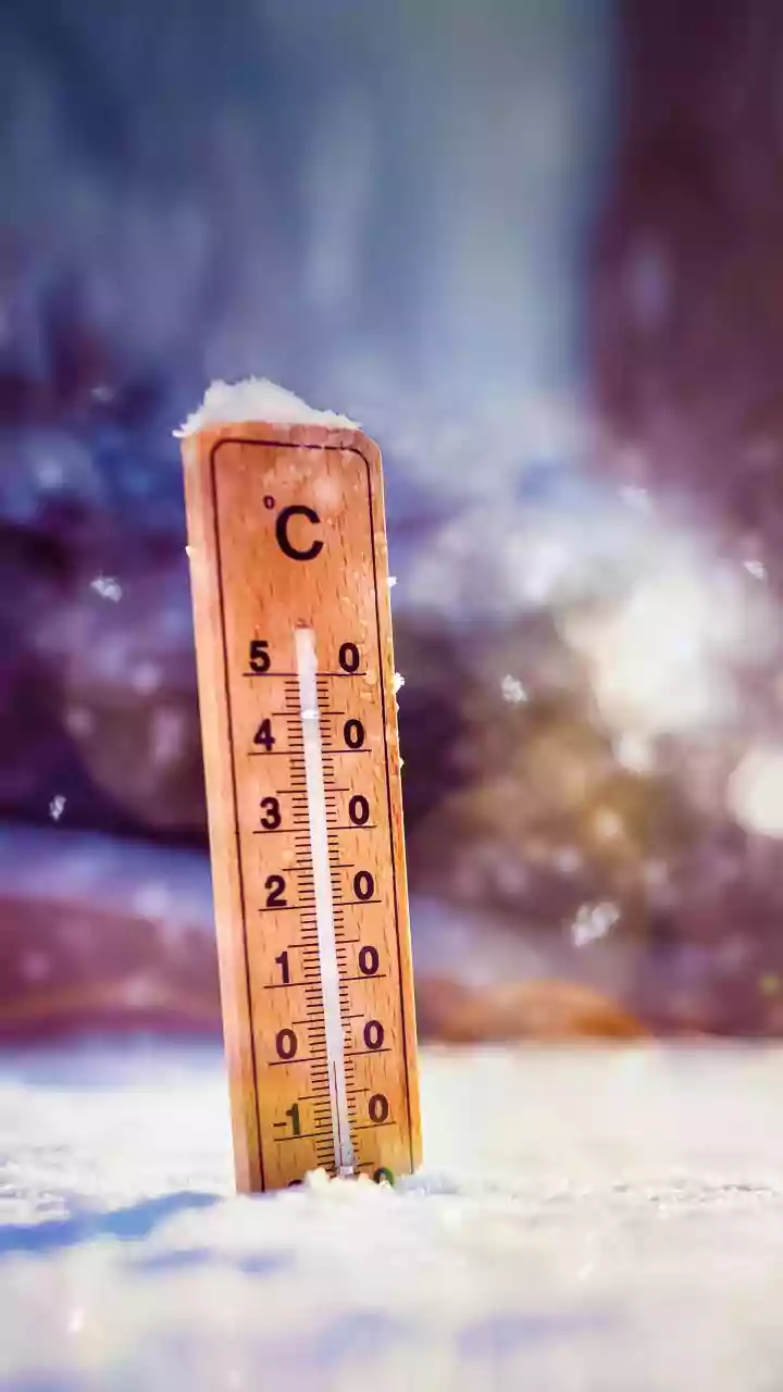 A Freezer Thermometer Can Confirm That Storage Stays Cold Enough