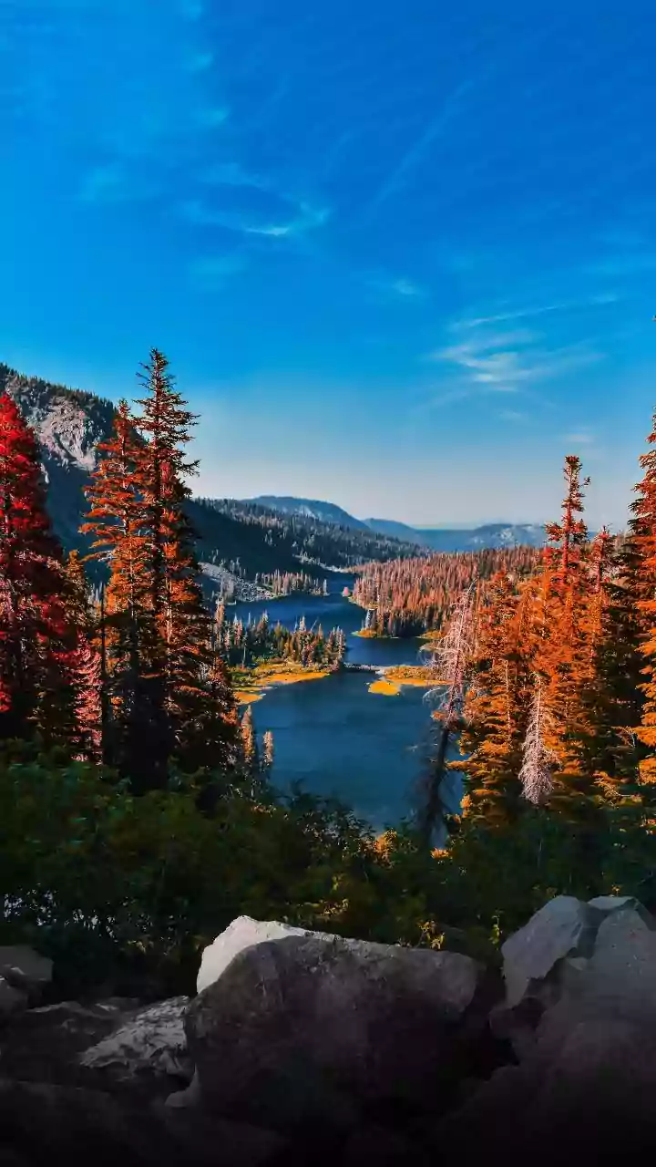 Nature-Inspired Baby Names: A Beautiful Guide