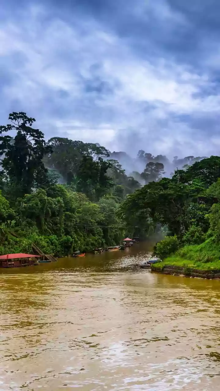 Post-Monsoon Wayanad Travel Hacks: Budget Homestays And Bamboo Rafting For Weekend Trips