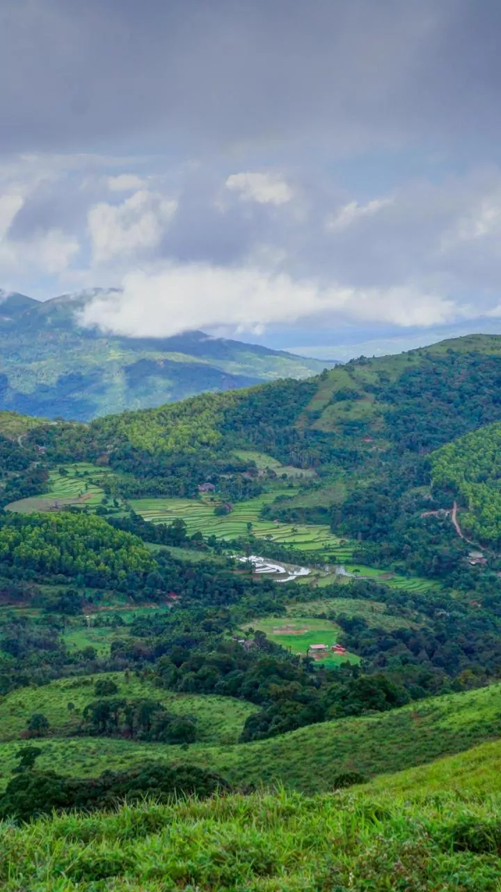 Coimbatore, Kodaikanal and Yercaud Offer Three Different Rainy-Season Moods