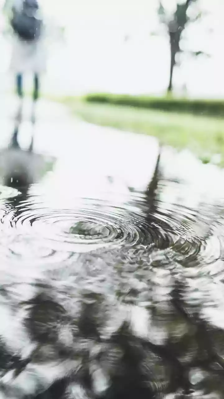 Rainy-Season Sleep: Separating Weather Effects From Good Habits