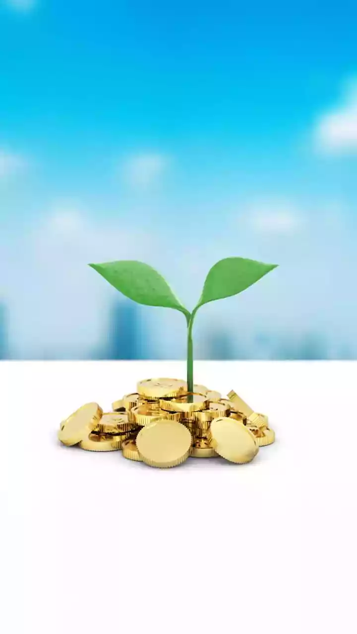 Zepto plans IPO by mid-2026, eyes ₹6,500cr fundraising