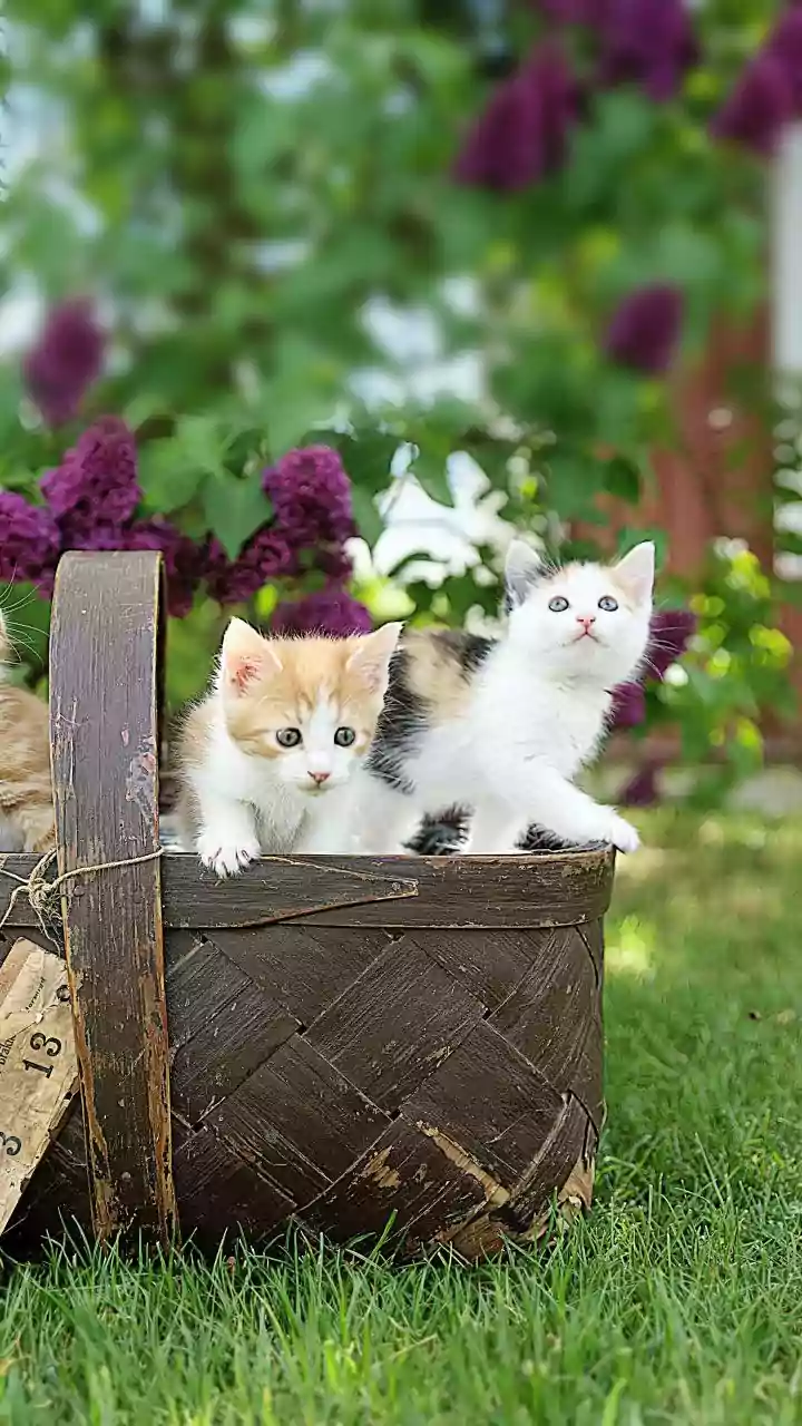 Related Stories banner