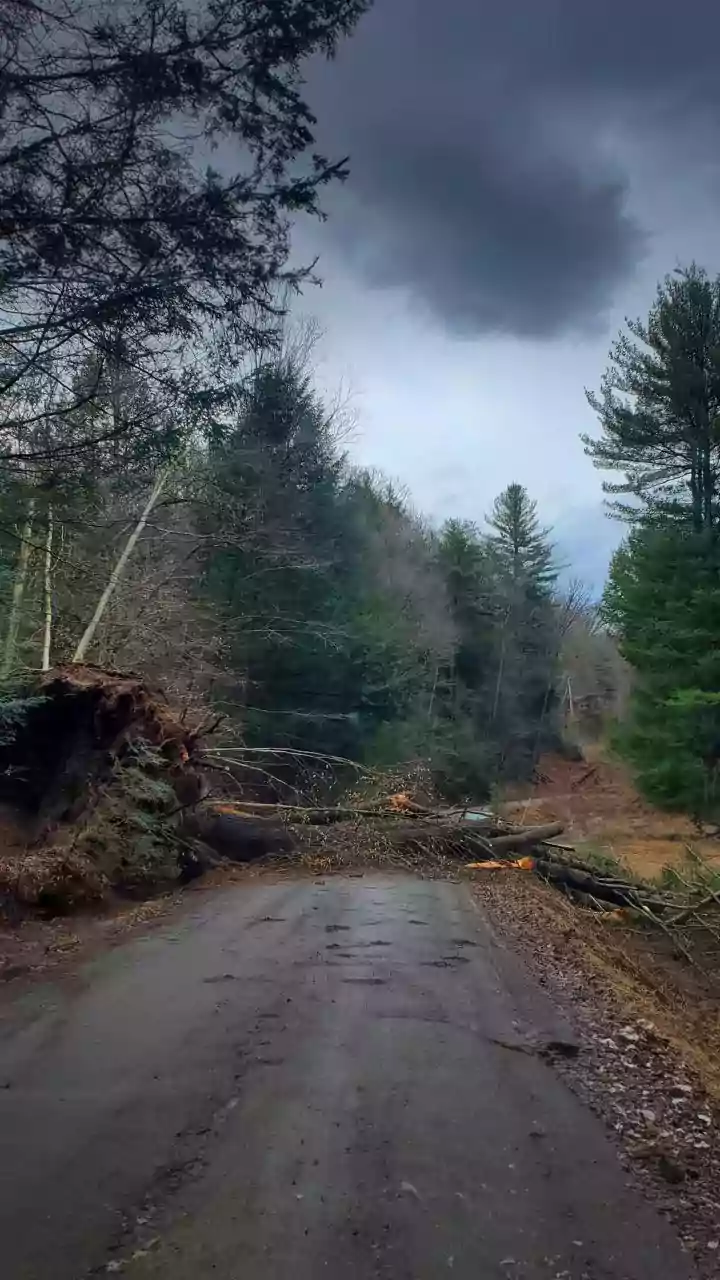 Why a Backup Plan Matters More During Heavy Rain Alerts