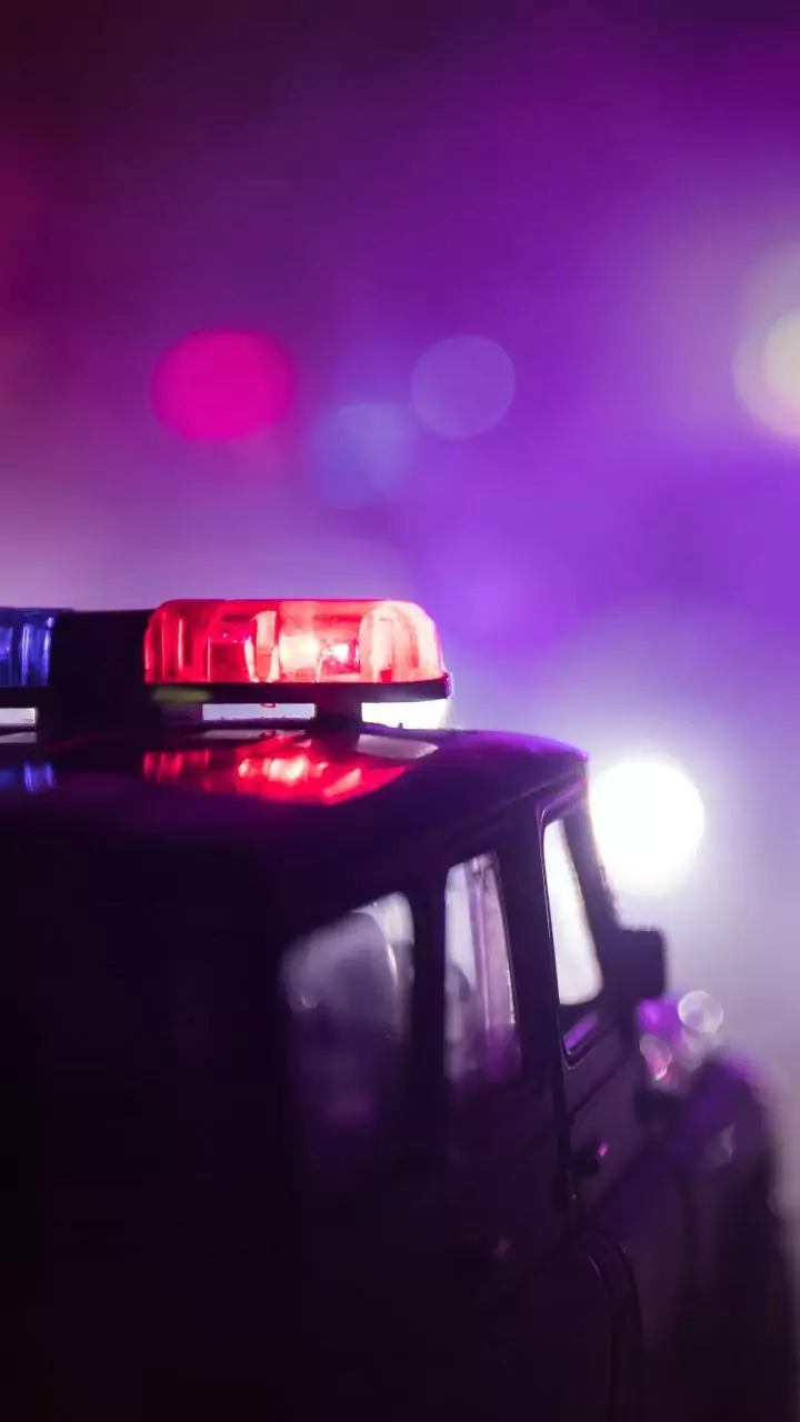 Indian-origin New Jersey woman arrested, charged with murdering her two young sons