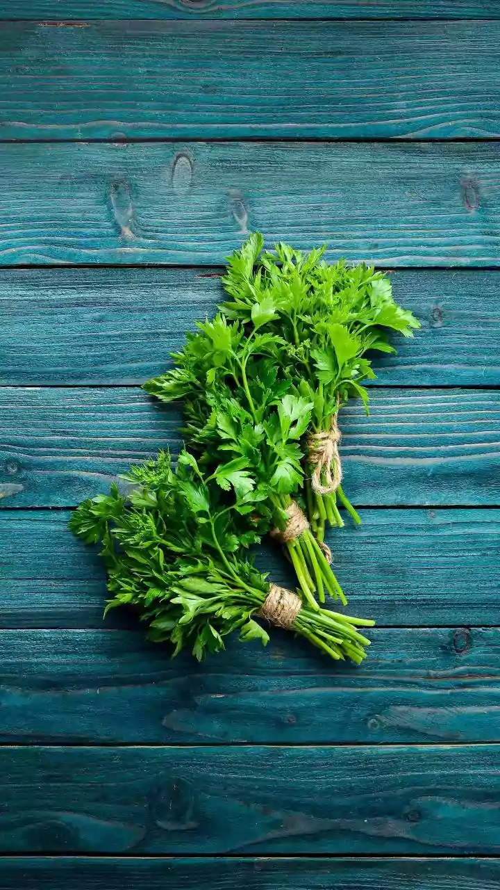 Fresh Herbs At Home Don't Always Need Bright Sunshine To Thrive