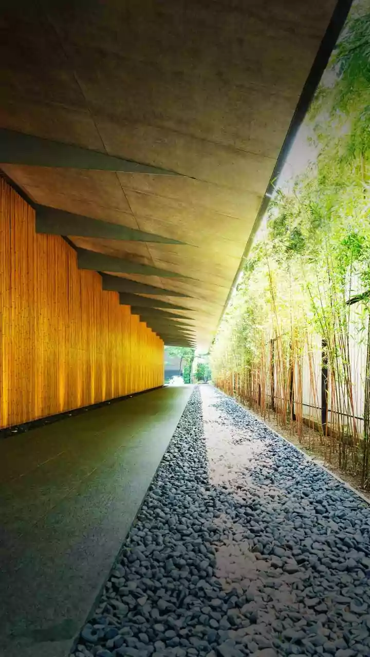 A Walk On Luxury! Dubai Will Soon Have A 24-Carat Gold Walkway; Know Details