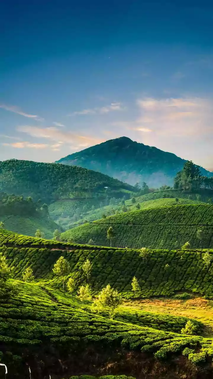 Coorg Coffee Estates Offer Unmatched Off Season Serenity For Slow Travellers Escaping Rainy City Blues